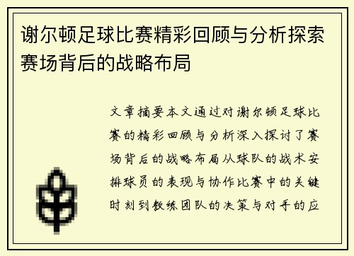 谢尔顿足球比赛精彩回顾与分析探索赛场背后的战略布局