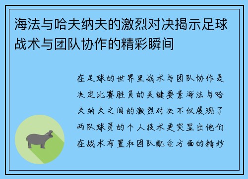 海法与哈夫纳夫的激烈对决揭示足球战术与团队协作的精彩瞬间