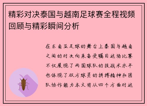 精彩对决泰国与越南足球赛全程视频回顾与精彩瞬间分析